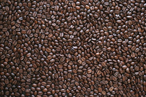 Coffee Roasts 101 - Eat Your Coffee