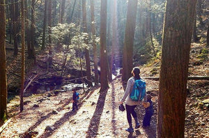 No-Bake Hippy Balls: The Hiking Snack Of Champions - Eat Your Coffee