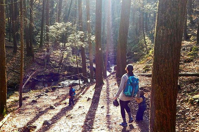 No-Bake Hippy Balls: The Hiking Snack Of Champions