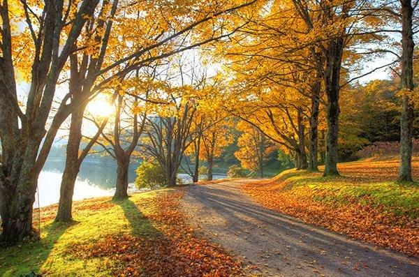 Ten places to explore this Fall... for free!