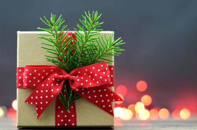 This Holiday Season: 15 Energizing Gifts to Give Under $100!