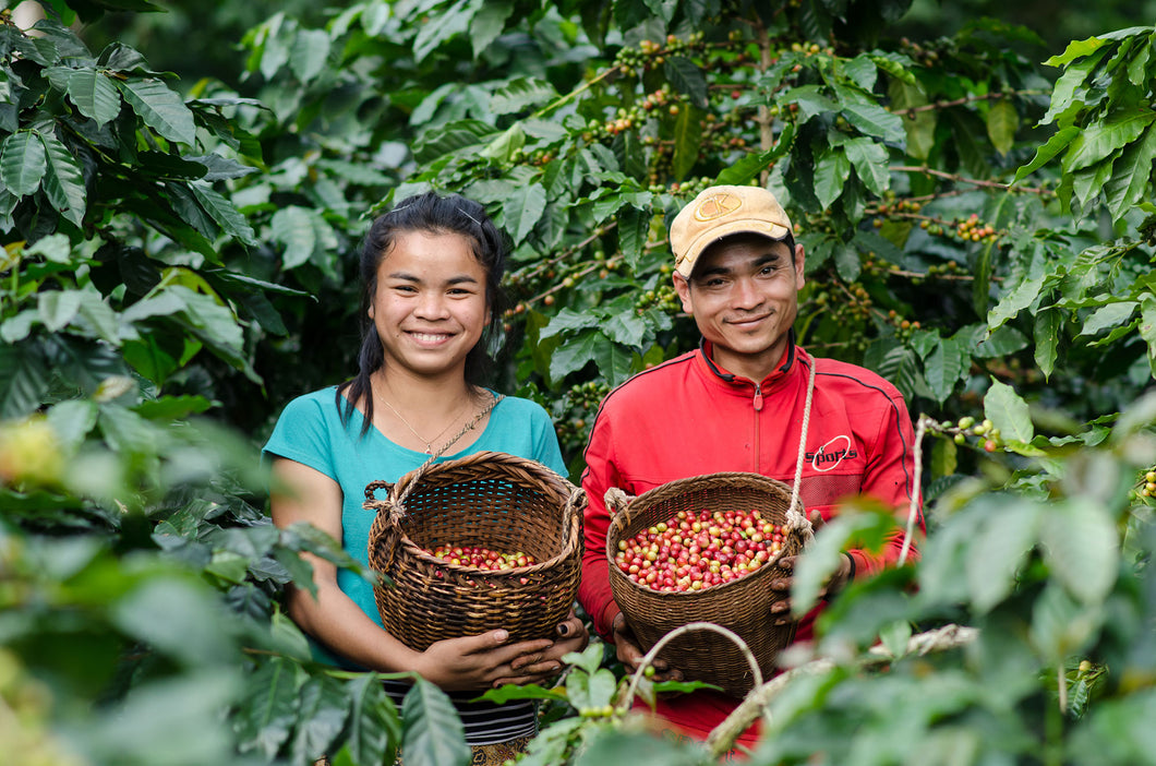 Eat Your Coffee Fair Trade Coffee Beans